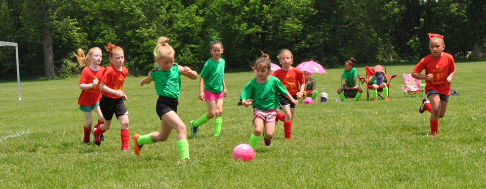 Evansville Youth Soccer League > Home